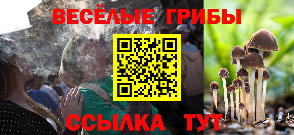Псилоцибиновые грибы GOLDEN TEACHER Котовск