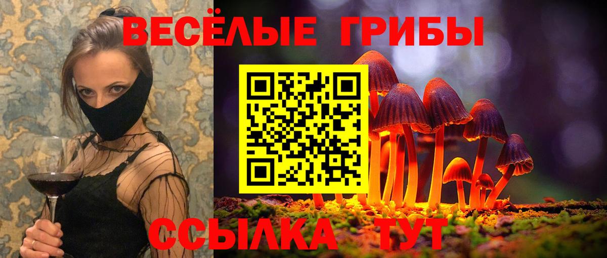 Галлюциногенные грибы ЛСД  Вход с VPN  Псилоцибиновые грибы Magic Shrooms  Котовск 